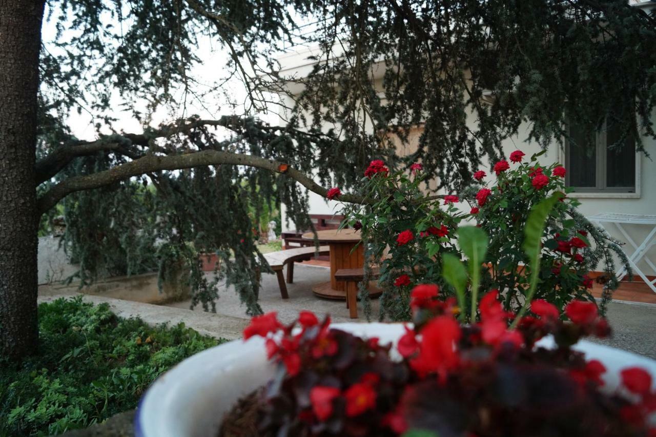Bed and Breakfast La Casa Del Nonno Alberobello Exteriér fotografie